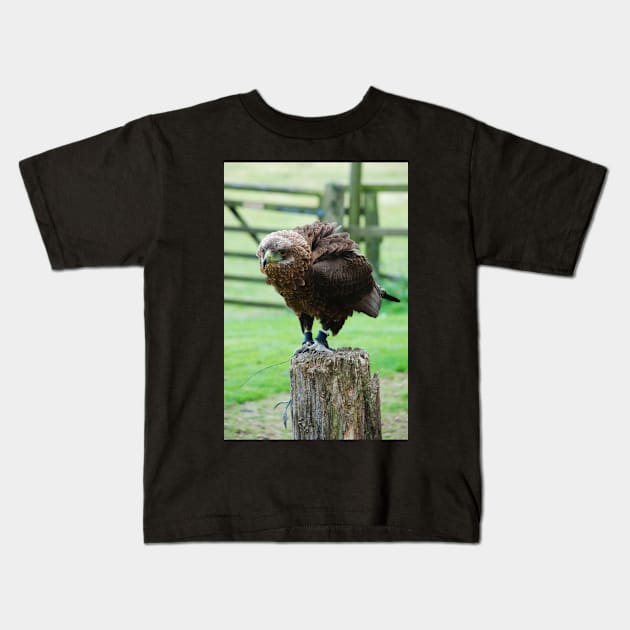 Bateleur Eagle Kids T-Shirt by RichardGibb